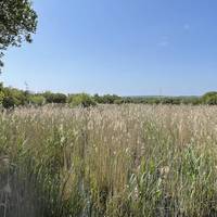 To your right you can see across the wetland to the hills beyond.