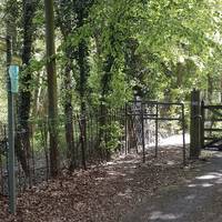 Keep along this track. Go through a barrier to the left of a gate on a path through Park Wood.