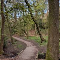 The path will slowly start sloping upwards. Keep going and enjoy the surrounding birds, flowers and trees.