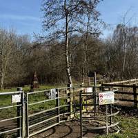 Head through this accessible metal kissing gate and continue on the path directly ahead once through the other side.
