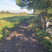 Once over the bridge continue walking straight ahead across the fields, following the path.