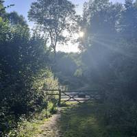 Make your way down from the Ightam Mote car park, through the gate and cross the road straight into the walk.