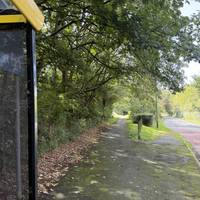 The walk begins at the Norton Priory bus stop. Jump off the bus and immediately head up a small path.