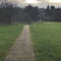Start at the footpath at the end of Wentworth Gardens and head down the hill