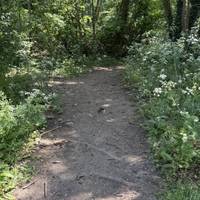 The path is a mud track and is not as well marked as the path on the opposite bank. It curves right towards the river.