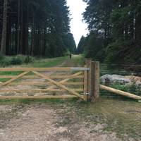 Go through the gate into the wood