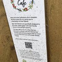 The plants were selected to benefit the pollinators.