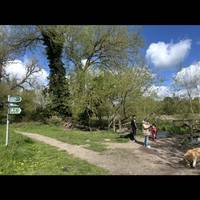 Follow the steam until you reach a bridge but don’t cross it! Take the path on the left.