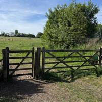Start at the gate in the car park nearest the driveway.  Go through the gate.