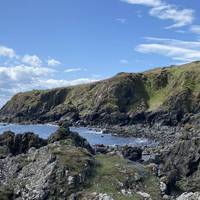 Lairds bay is a great place for wildlife spotting! And again at the end of this beach, there are even more steps for any keen people!