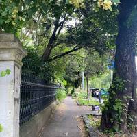 Head along the flat tarmac footpath on Princes Street. You will experience a slight incline.