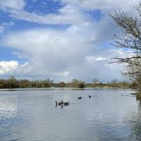 The wildlife is in abundance, all year around