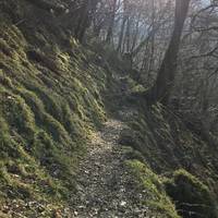 The first part of the walk has not much to see in winter but you'll start to hear the river in the distance