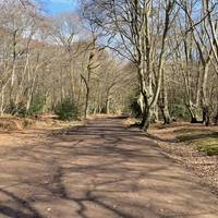 The path is pretty flat and shared by walkers, cyclists and horse riders.