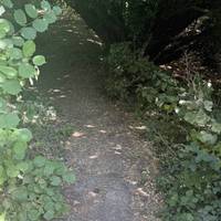 Before reaching the bridge there’s a path to the right leading down to the river. Head down this path.