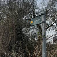 Follow the footpath to the left of the track.
