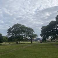 This is a step-free walk around Clarence Ground. A green space near the seafront. Start at the entrance off Victoria Avenue.