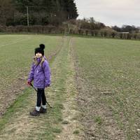 Take the path across the field and up the steps to the right of the woods