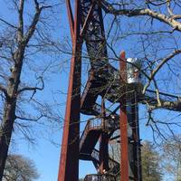Don't miss the treetop walkway. There's a lift if you're feeling lazy :)