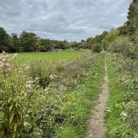 This will bring you out to a narrow path on what was the towpath of the old Somerset Coal Canal. Ahead left is the old Midford Aqueduct.