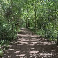 Continue to follow the trail until you reach a bench in front of you to the left.