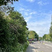 Walk slightly downhill along the pavement. Burrell Road becomes Ranelagh Road. Get ready to turn left.