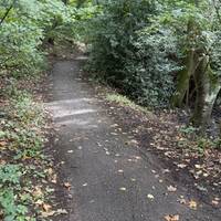 Follow the path as it turns left.