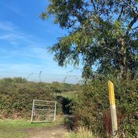 You will eventually come to a gate at the end of the field.