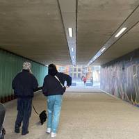 Start by heading through the underpass, under the railway lines over head.