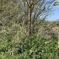 Turn right when you leave the village hall and carefully cross the B1508 to the signposted footpath.