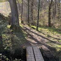 Cross the first bridge, listen out for the birdsong and the gentle stream below.