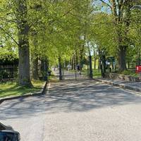 Welcome to the Lurgan Park nature walk . Although there are many ways to enter the park, this route starts at the Avenue Road entrance.