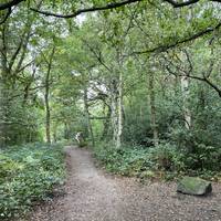 The Meanwood valley is home to a wide diversity of vegetation, which supports a huge range of flora and fauna.