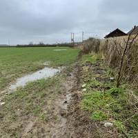 Once you've reached the fence by the back gardens, follow the path alongside it. Head towards the gap in the hedge at the field edge.