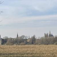 Oxford loop for mum and the girls