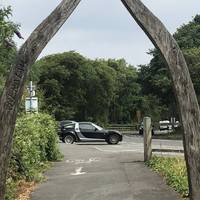 From the layby car park, walk down towards the archway which heralds the route of the cycle path