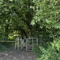 At the end of the field go through the kissing gate.  Sadly this makes the trail inaccessible for wheelchair users and mobility scooters.