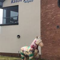 Follow the road round past Kilbride Hospice looking out for their colourful horse statue on the hill.