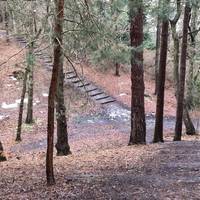 On the other side of the hill, head down then up the huge steps on the other side. There is a geo cache in the undergrowth  to the right.