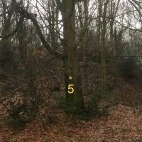 Head back along the path and see if you can spot 5
