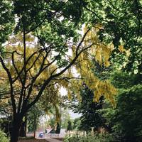 Enter the Arboretum, it's a small park with plenty to see and has a lot of really beautiful spots 