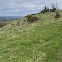 Look out for deer to your right along here. We spotted a few running along 🦌