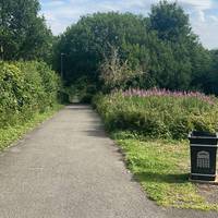 Continue straight past the bin
