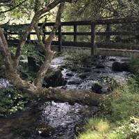 Follow the path down the hillside, cross the stream when you get this little bridge.