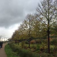 Follow the top path past timber lodge and towards the velodrome 