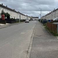 Look at spring gardens bursting into life