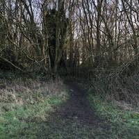 Follow the path into the woods, at the top left corner of the field