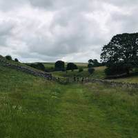 Go through the gate and follow the path leading into Lathkill Dale