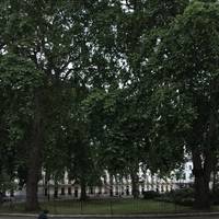 Continue on to Fitzroy Square Garden. This is a peaceful place to sit and rest for a moment. Then turn right onto Grafton Way.