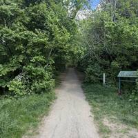 Welcome to Cannon Hill Common! Today you’ll be taking a slow stroll with a mixture of woodland trails, meadows and waterfront wildlife.